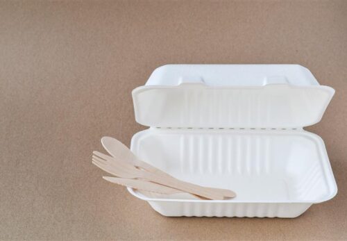 Clamshell Containers: A Practical Choice for Food Packaging in Australia