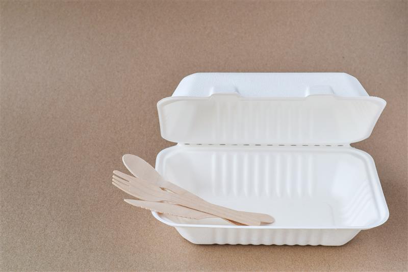 Clamshell Containers: A Practical Choice for Food Packaging in Australia